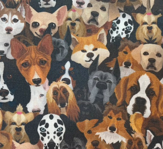 hundkennel hundar hundraser sverige